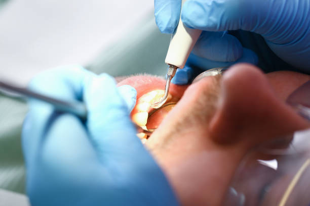 Best Emergency Orthodontic Repairs in Manistee, MI